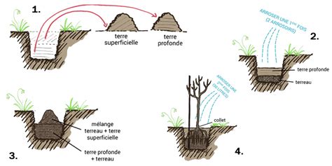 Schéma explicatif de la plantation d'un arbuste en pot avec couche de drainage