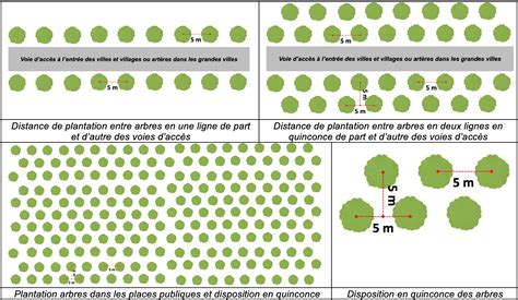Schéma illustrant la disposition des plants de salades sur un film de paillage avec espacements optimisés