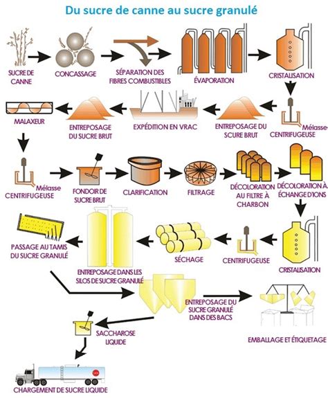 Diagramme illustrant le processus de transformation de la canne à sucre en sucre, rhum et éthanol