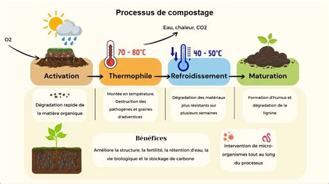 Infographie illustrant les 4 phases du compostage : mésophile, thermophile, refroidissement et maturation