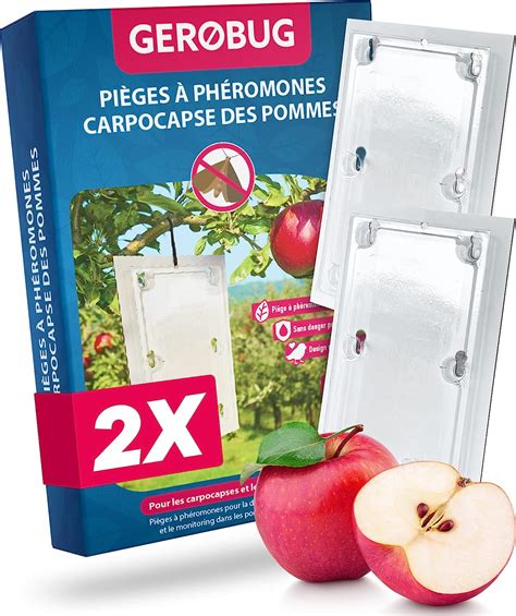 Piège à phéromones de type Delta pour le carpocapse