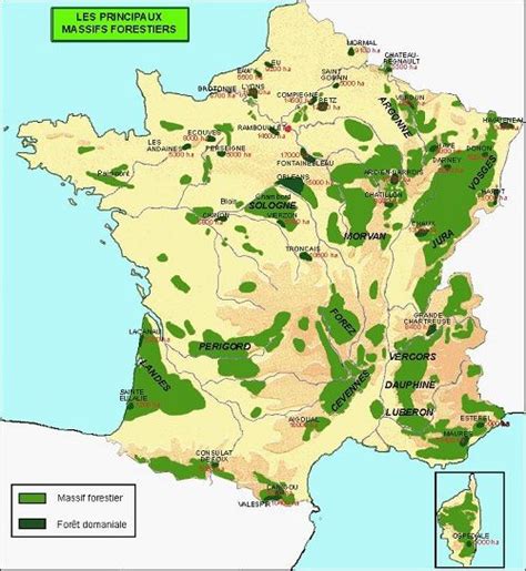 Carte des forêts domaniales du Vaucluse