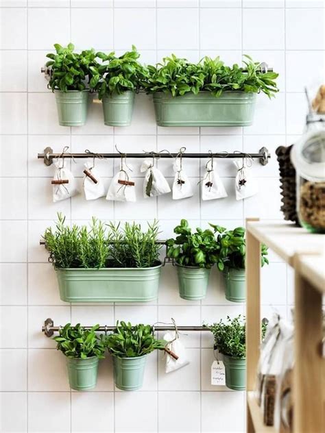 cuisine avec étagère murale de plantes aromatiques