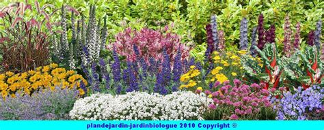 Exemple de Mixed Border fleuri