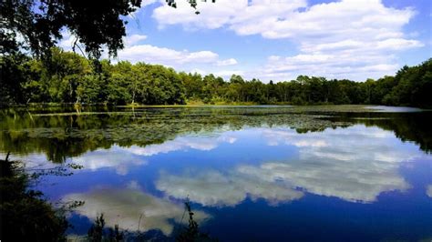 Paysage typique des forêts et étangs de Sologne au printemps