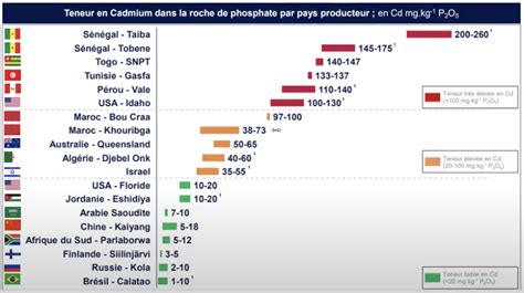 Infographie comparant les taux de cadmium dans les engrais phosphatés d'origine naturelle par rapport aux alternatives organiques