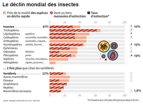 Graphique montrant le déclin corrélé des populations d'insectes et de plantes à fleurs