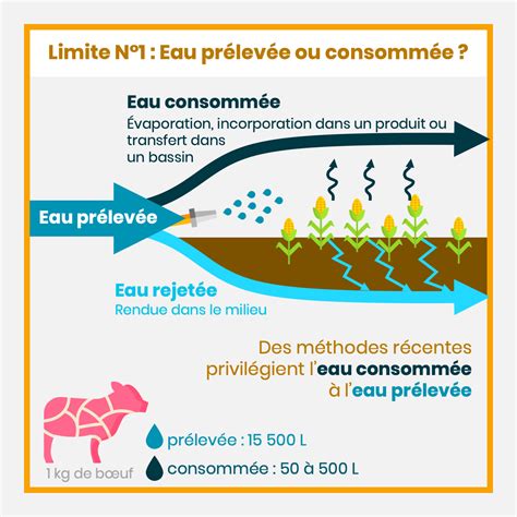 Infographie comparant les besoins en eau d'un gazon tondu court versus un gazon tondu haut
