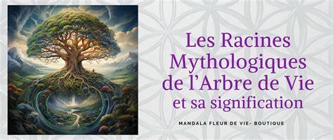 Arbre de vie et racines