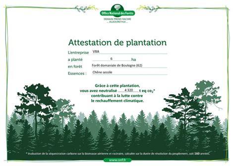 Certificat de plantation d'arbre