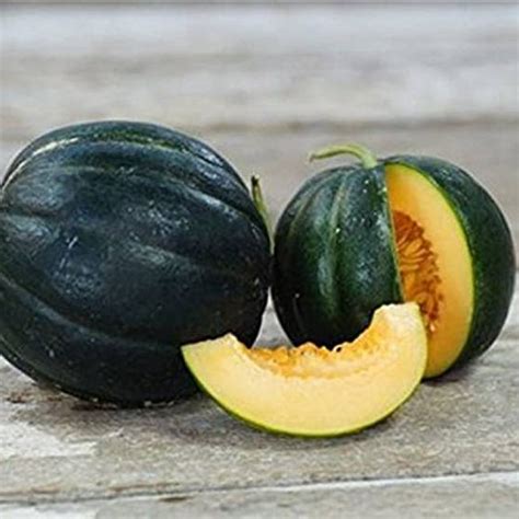 Illustration d'un melon Noir des Carmes aux côtes marquées