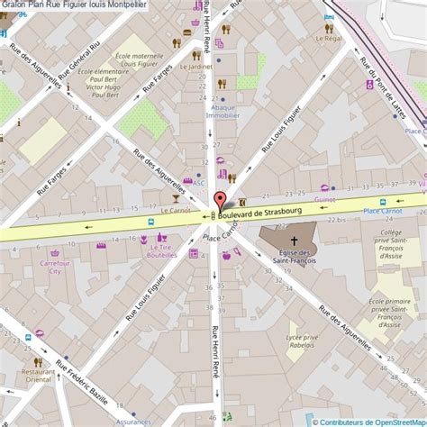 Plan Figuier Montpellier