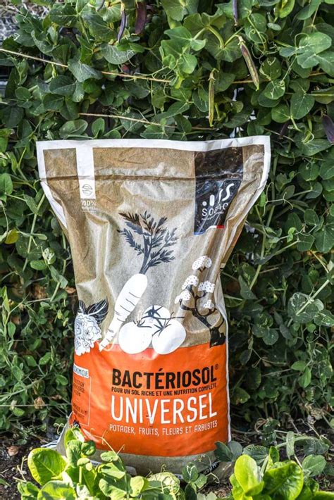 Bactériosol granules