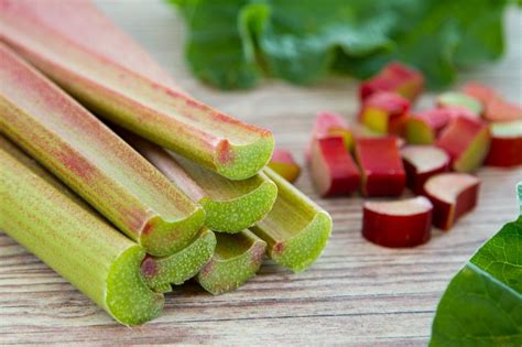Rhubarbe coupée en tronçons prête pour la congélation