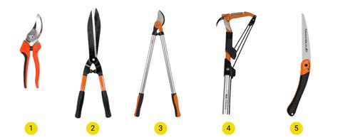 Outils de taille d'arbres fruitiers