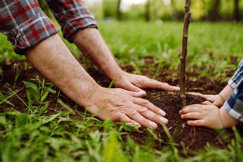 Une famille plantant un jeune arbre dans un jardin ensoleillé
