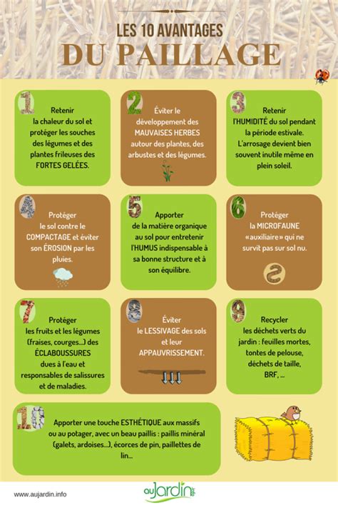 Infographie des 8 avantages du paillage