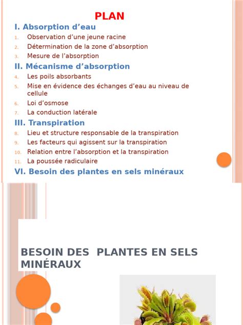 Infographie sur les besoins en humidité des plantes