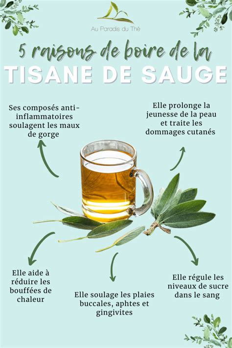 Tisane de sauge