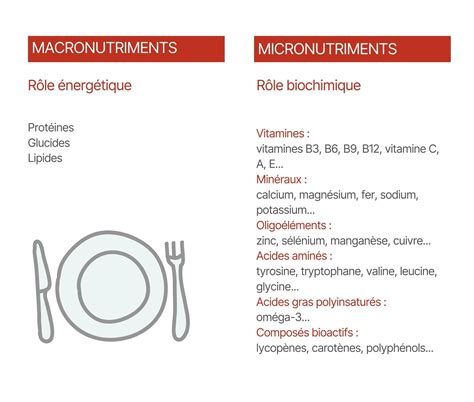 Diagramme des macronutriments et micronutriments de la fleur de courgette