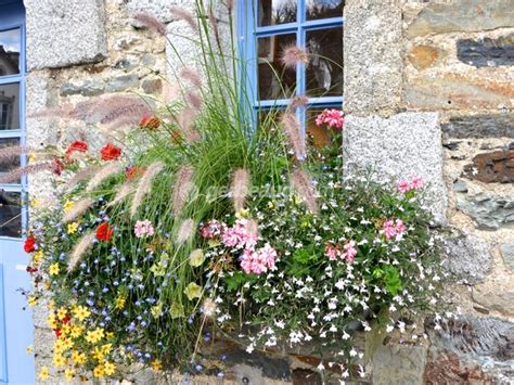 Exemple de composition de jardinière avec différentes hauteurs et ports de plantes