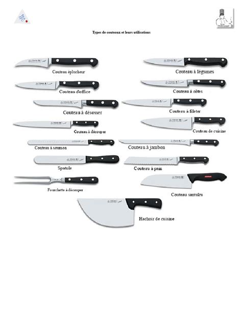 infographie sur les types de chair et leurs usages culinaires