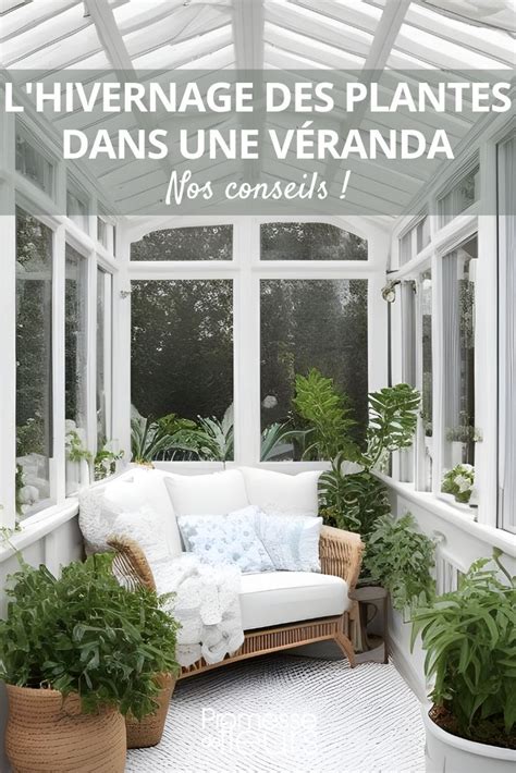 Véranda pour l'hivernage des plantes