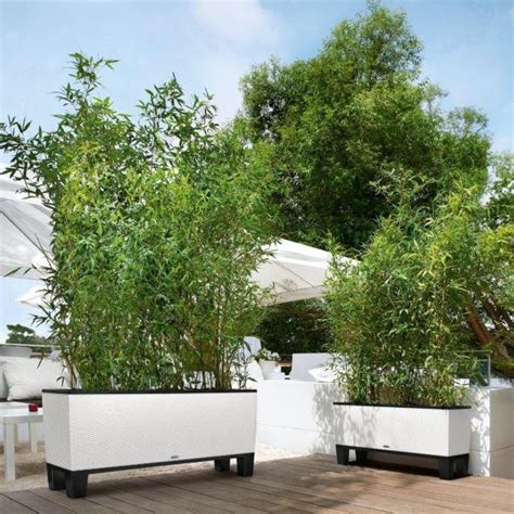 Exemple de balcon aménagé avec des jardinières de bambous pour créer un écran visuel