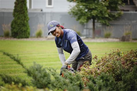 Équipe professionnelle en plein travail d'entretien paysager sur la Rive-Sud