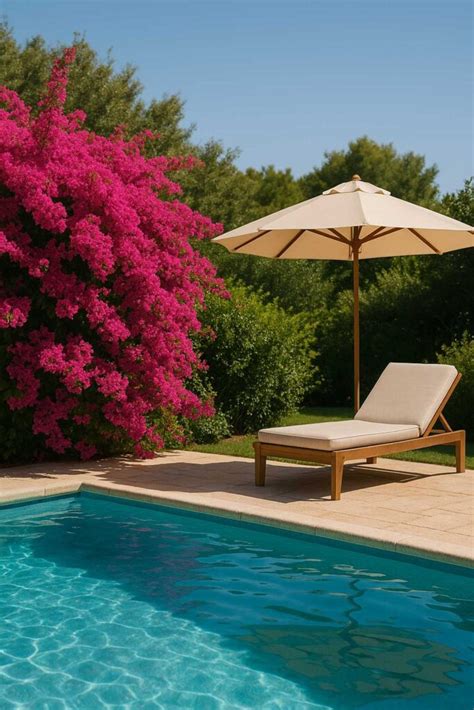 Bougainvillier en fleurs près d'une piscine