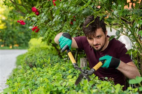 jardinier professionnel travaillant dans un jardin résidentiel