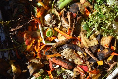 illustration de la diversité des déchets organiques compostables