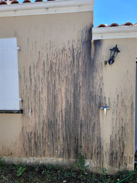 Photos avant/après traitement anti-mousse
