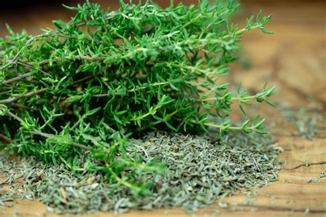 Plat méditerranéen agrémenté de branches de thym serpolet frais