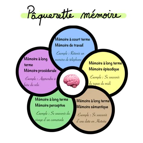 Infographie sur les différents types de taille de clématites