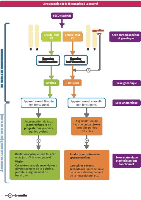 Schéma expliquant la compatibilité des pièces