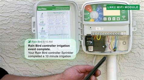 Schéma de connexion du module Wi-Fi LNK2 au Rain Bird ESP-TM2