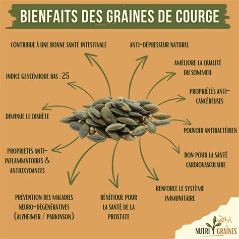 infographie sur les bienfaits nutritionnels des graines de courge