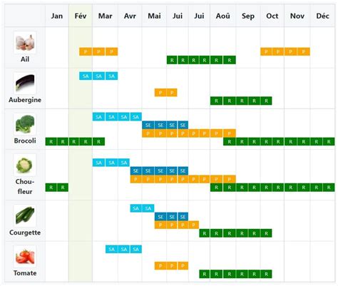Schéma illustrant le calendrier des travaux au potager selon les saisons