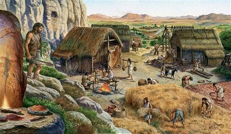 Représentation des cultures céréalières néolithiques
