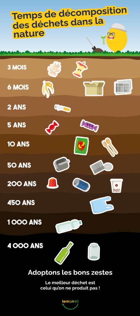 Infographie comparative : temps de décomposition des différentes essences d'arbres