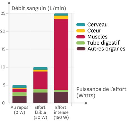 Illustration montrant la redistribution du flux sanguin lors du réflexe de plongée