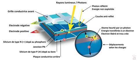 Schéma montrant l'effet du pH sur l'absorption de l'aluminium
