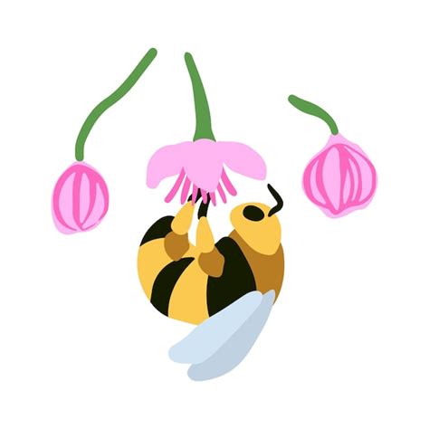 Illustration d'une abeille pollinisant une fleur d'abricotier