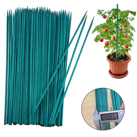 Divers types de tuteurs en bois dans un jardin