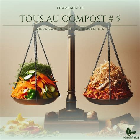 schéma illustrant le ratio équilibré entre déchets verts et bruns