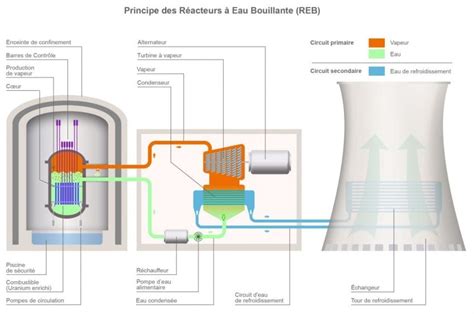 schéma technique réacteur piston-flow et UASB