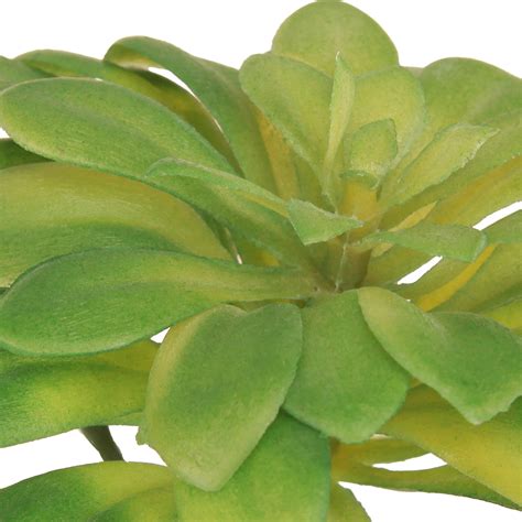 Gros plan sur la texture réaliste d'une succulente artificielle