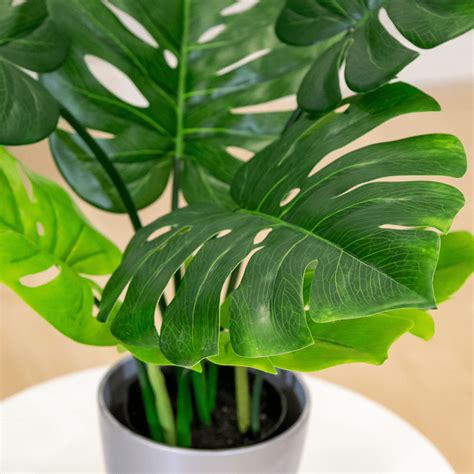 Détails d'une feuille de plante artificielle réaliste