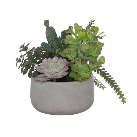 Collection de cactus artificiels en pot